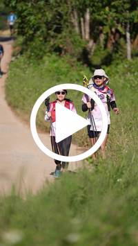 BIB:  <button type="button" onclick="openModal(26787000)" class="btn btn-primary btn-sm float-right" data-toggle="modal" data-target=".modal-high-quality">
                <i class="fa fa-download"></i> Download
                </button>